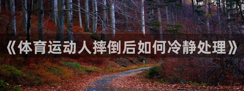 哈哈体育下载