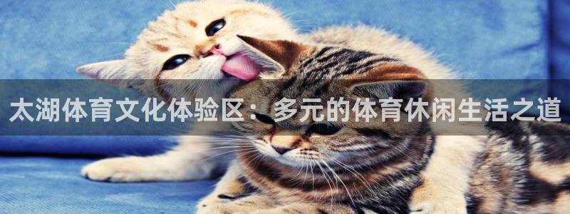 哈哈体育下载