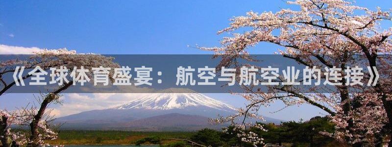 哈哈体育下载