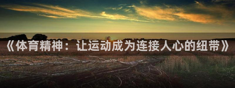 哈哈体育下载