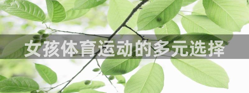 哈哈体育十年