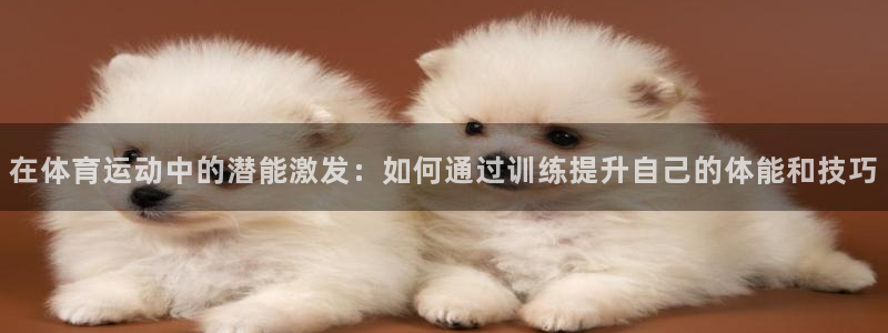 哈哈体育