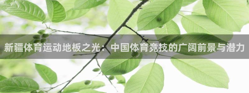 哈哈体育下载