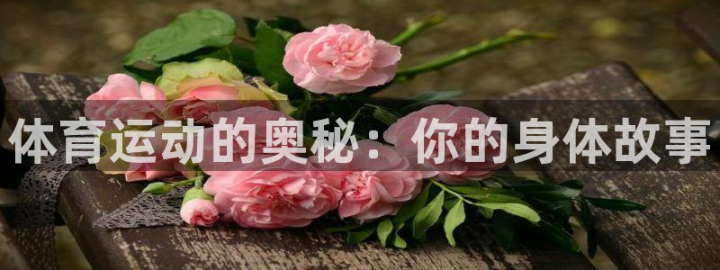 哈哈体育十年