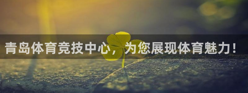 哈哈体育十年